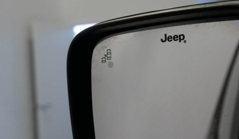 
 Jeep Renegade full									