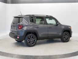 
 Jeep Renegade full									