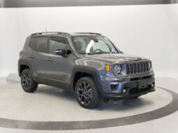 
 Jeep Renegade full									