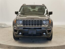 
 Jeep Renegade full									