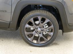
 Jeep Renegade full									