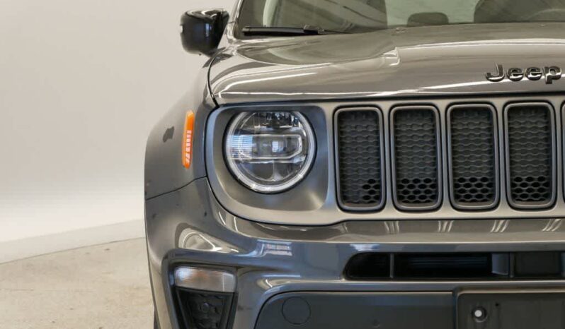 
 Jeep Renegade full									