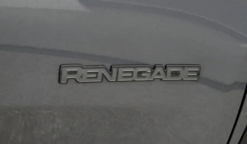
 Jeep Renegade full									