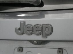 
 Jeep Renegade full									
