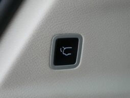 
 Chrysler Pacifica full									