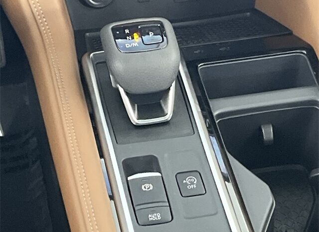 
 Nissan Pathfinder full									