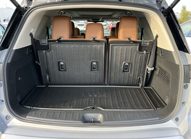 
 Nissan Pathfinder full									