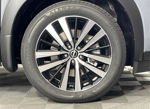 
 Nissan Pathfinder full									