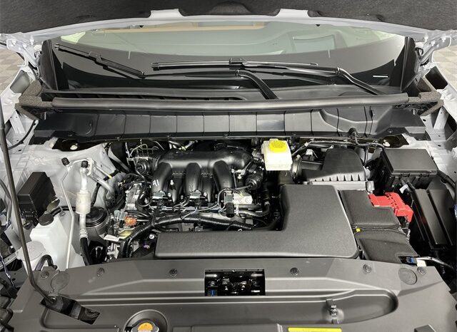 
 Nissan Pathfinder full									