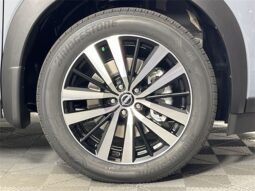 
 Nissan Pathfinder full									