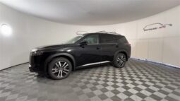 
 Nissan Pathfinder full									