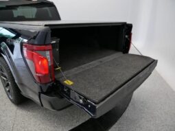 Ford F-150 full