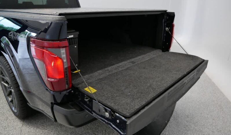 
 Ford F-150 full									