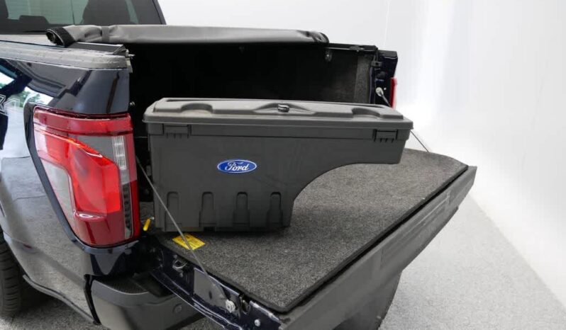 
 Ford F-150 full									