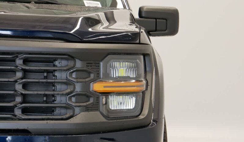 
 Ford F-150 full									