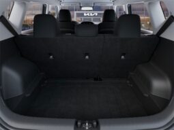 
 Kia Soul full									