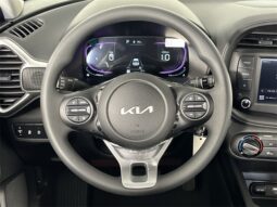 
 Kia Soul full									
