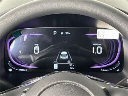 
 Kia Soul full									