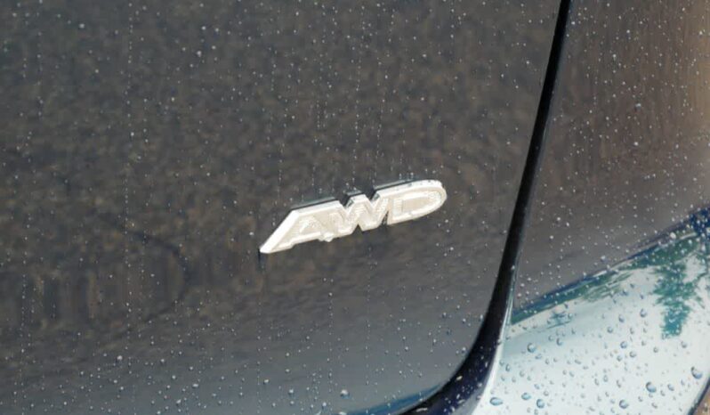
 Chrysler Pacifica full									