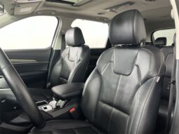 
 Kia Telluride full									