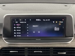 
 Kia Telluride full									