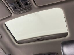 
 Kia Telluride full									