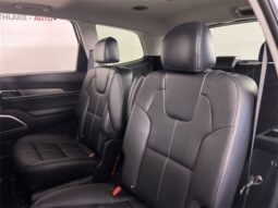 
 Kia Telluride full									