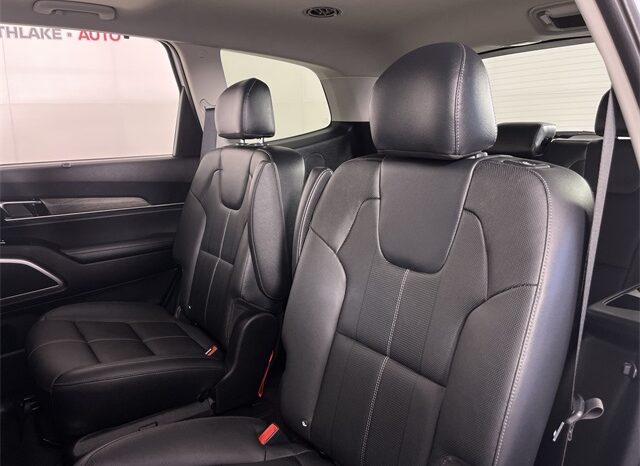 
 Kia Telluride full									