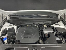 
 Kia Telluride full									