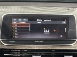 Kia Telluride full