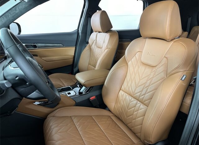 
 Kia Telluride full									