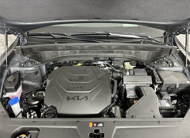 
 Kia Telluride full									