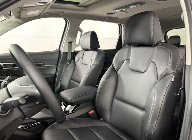
 Kia Telluride full									