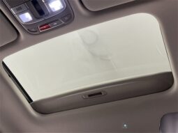 Kia Telluride full