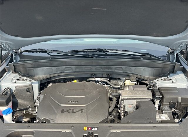 
 Kia Telluride full									