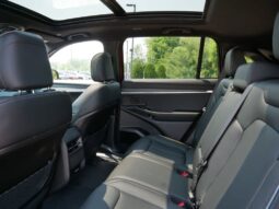 
 Jeep Wagoneer S full									