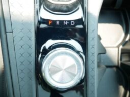 
 Jeep Wagoneer S full									