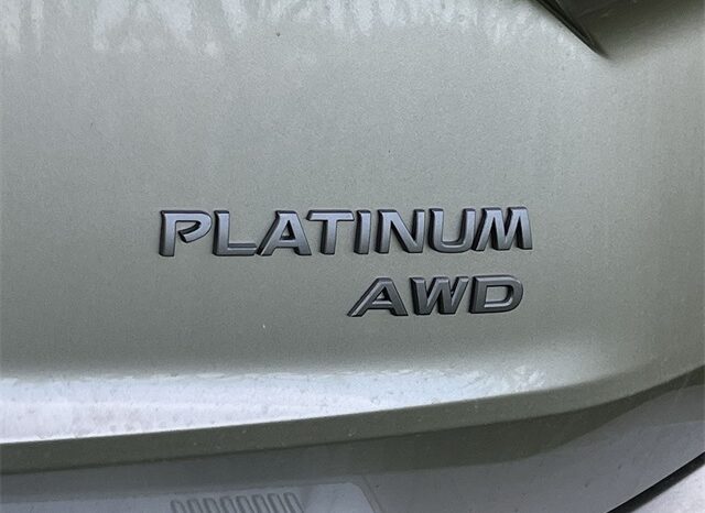 
 Nissan Rogue full									