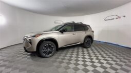 Nissan Rogue full