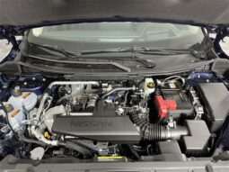 
 Nissan Rogue full									