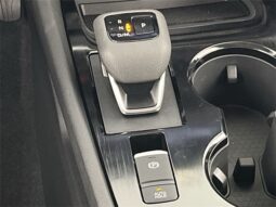 
 Nissan Rogue full									