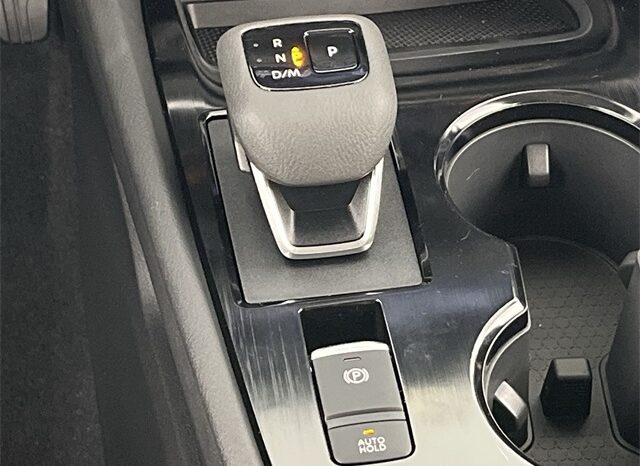 
 Nissan Rogue full									