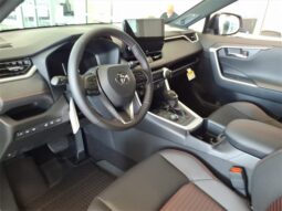 Toyota RAV4 Plug-In Hybrid full