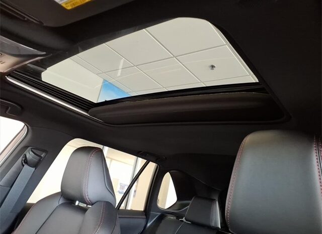 
 Toyota RAV4 Plug-In Hybrid full									