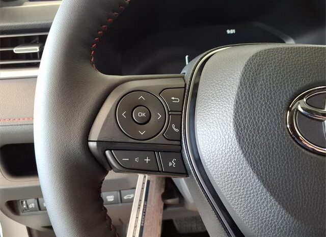 
 Toyota RAV4 Plug-In Hybrid full									