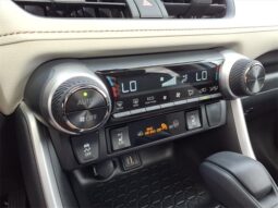 Toyota RAV4 Hybrid full