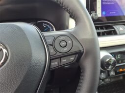 Toyota RAV4 Hybrid full