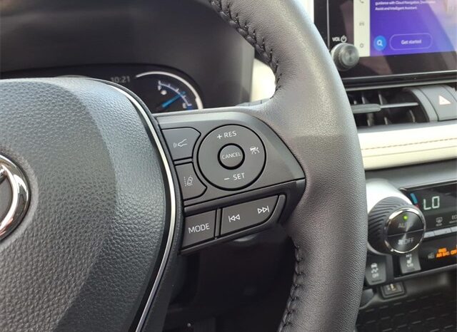 
 Toyota RAV4 Hybrid full									