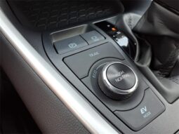 Toyota RAV4 Hybrid full
