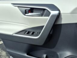 Toyota RAV4 Hybrid full
